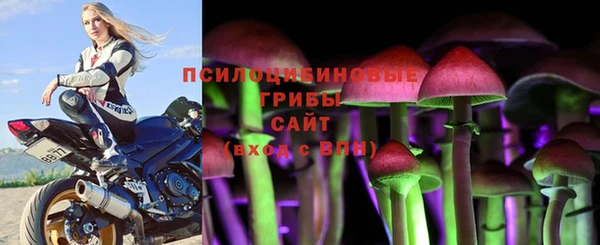 шишки Балахна