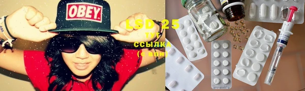 шишки Балахна