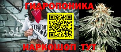 марихуана Будённовск